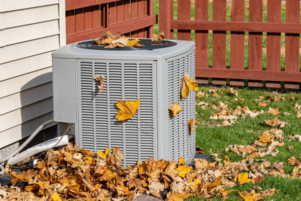 Best Local HVAC Companies  in Myrtle Grove, FL